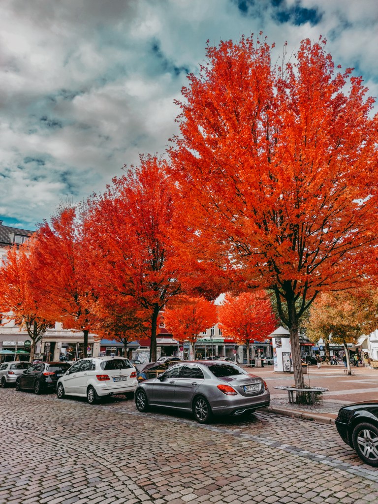 Hamburg street with bright orange autumn trees, parked cars and residential buildings.