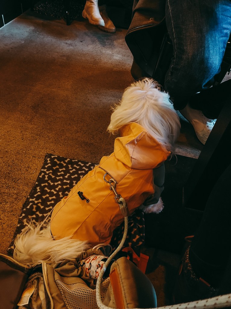 Susi wearing an orange raincoat, sitting beside her backpack inside Dieter’s Café.